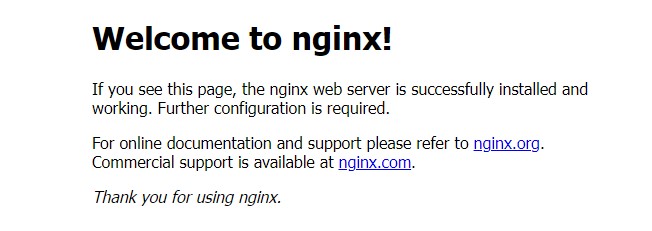 nginx-default-page